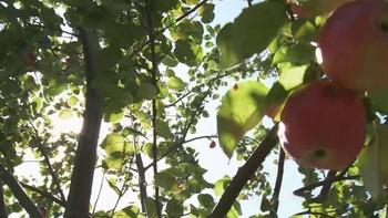 Growing a Greener World