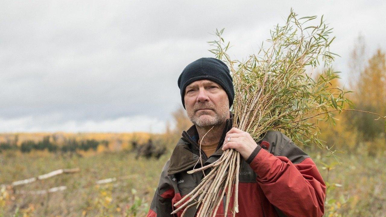 Les Stroud's Wild Harvest Ruffed Grouse and Labrador Tea