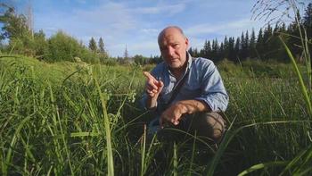 Les Stroud's Wild Harvest