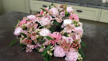 J Schwanke's Life in Bloom