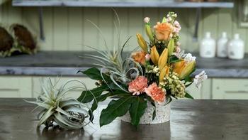 J Schwanke's Life in Bloom
