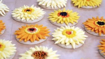 J Schwanke's Life in Bloom