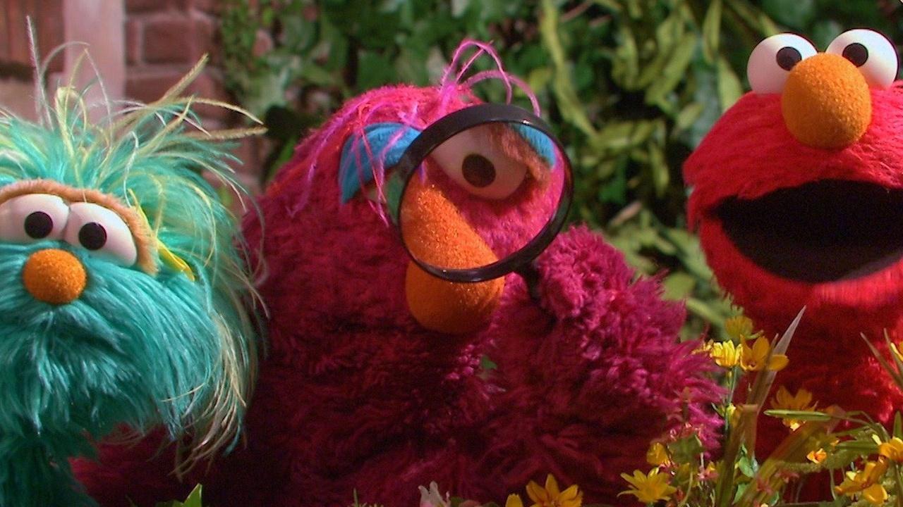 Sesame Street The Itsy Bitsy Spider Search | On PBS Wisconsin