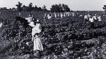 Invisible History: Middle Florida's Hidden Roots