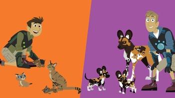 Wild Kratts: Cats and Dogs