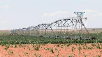 Playas: The Land of Little Lakes