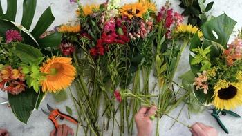 J Schwanke's Life in Bloom