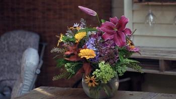 J Schwanke's Life in Bloom