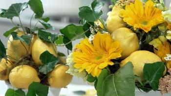 J Schwanke's Life in Bloom
