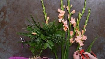 J Schwanke's Life in Bloom