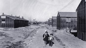 Betrayed: Surviving An American Concentration Camp