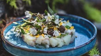 Les Stroud's Wild Harvest