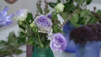 J Schwanke's Life in Bloom