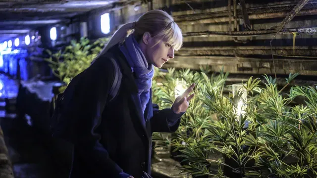 The Flowers of Evil poster frame