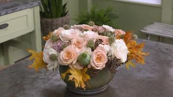 J Schwanke's Life in Bloom