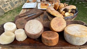 The Life of Loi: Mediterranean Secrets