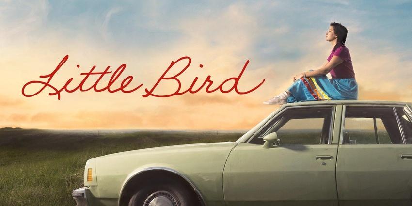Little Bird