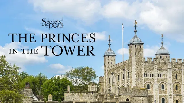 The Princes in the Tower poster frame