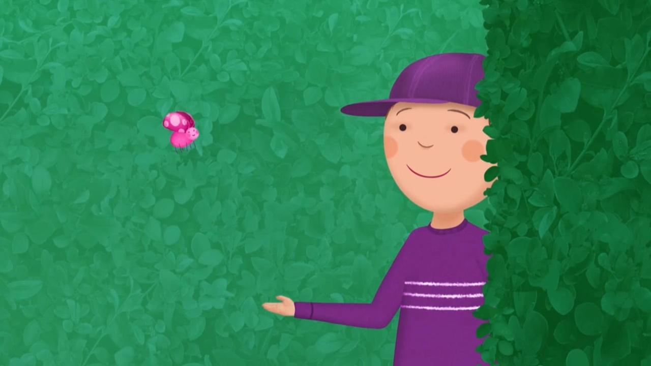 Pinkalicious & Peterrific A-Maze-Ing Day; Pet Sitting Service Pinkalicious & Peterrific A-Maze-Ing Day; Pet Sitting Service