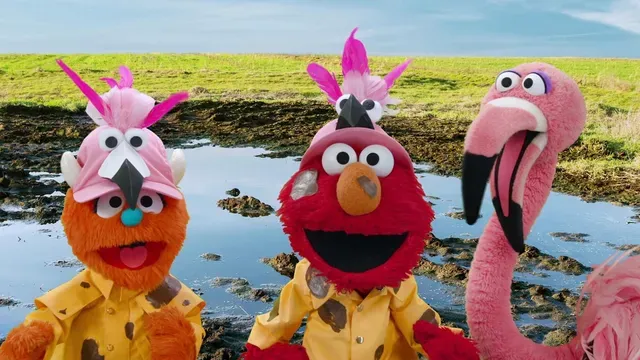 The Flamingo Scoop poster frame