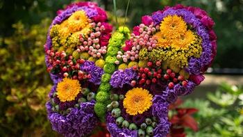 J Schwanke's Life in Bloom