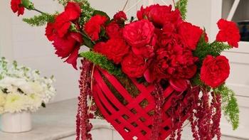 J Schwanke's Life in Bloom