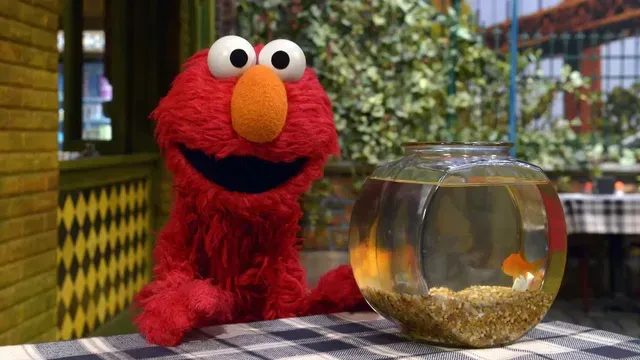 Elmo and Abby's Ocean Adventure poster frame