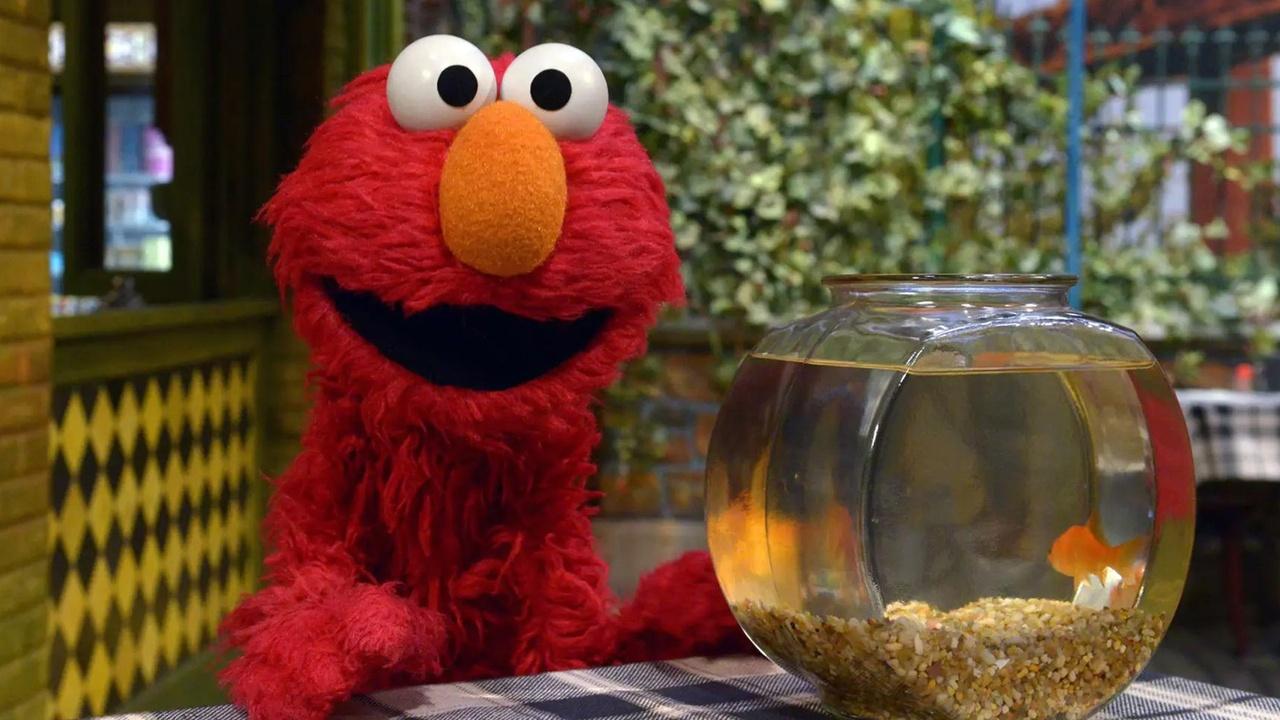 Sesame Street Elmo and Abby's Ocean Adventure Sesame Street Elmo and Abby's Ocean Adventure