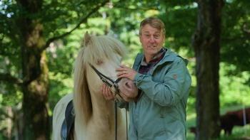 Weekends With Yankee