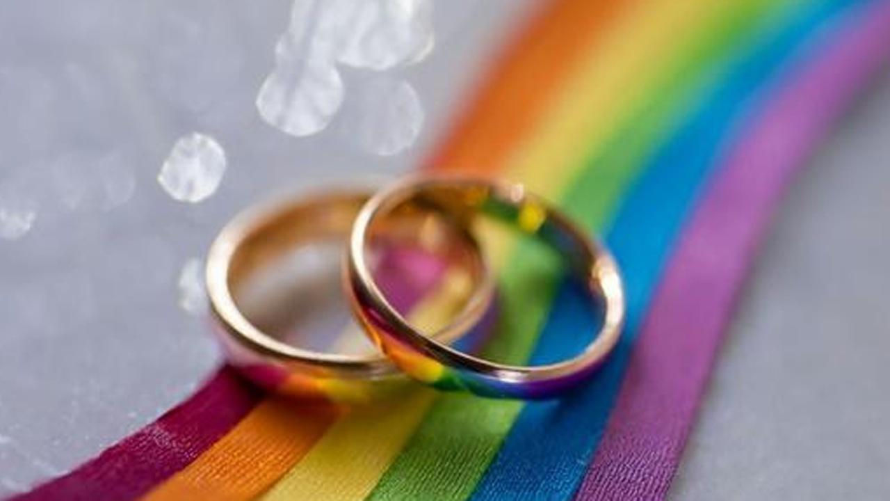 Justly Wed: Stories From the Marriage Equality Movement