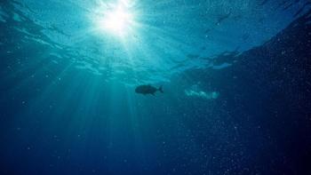 Hope in the Water