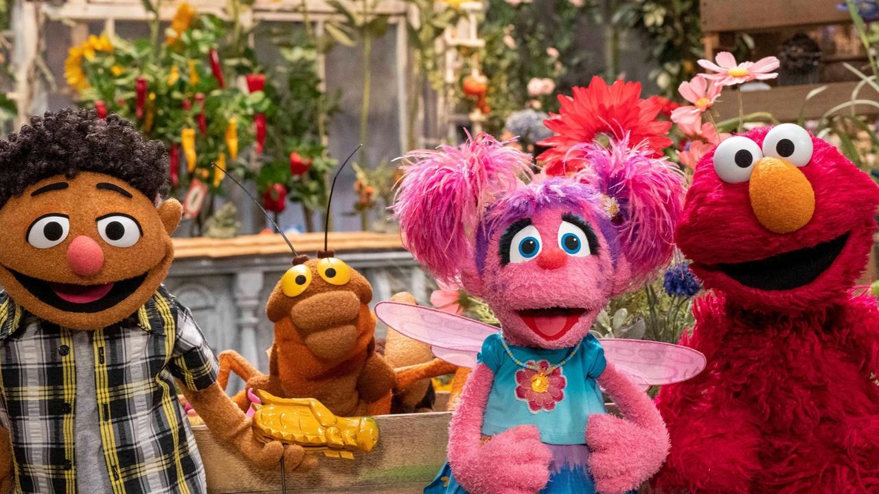 Sesame Street The Mystery Cricket