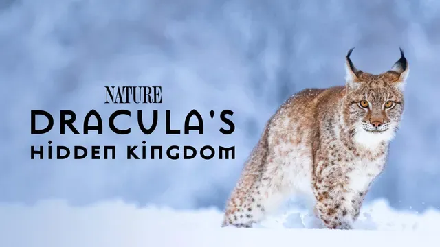 Dracula's Hidden Kingdom poster frame