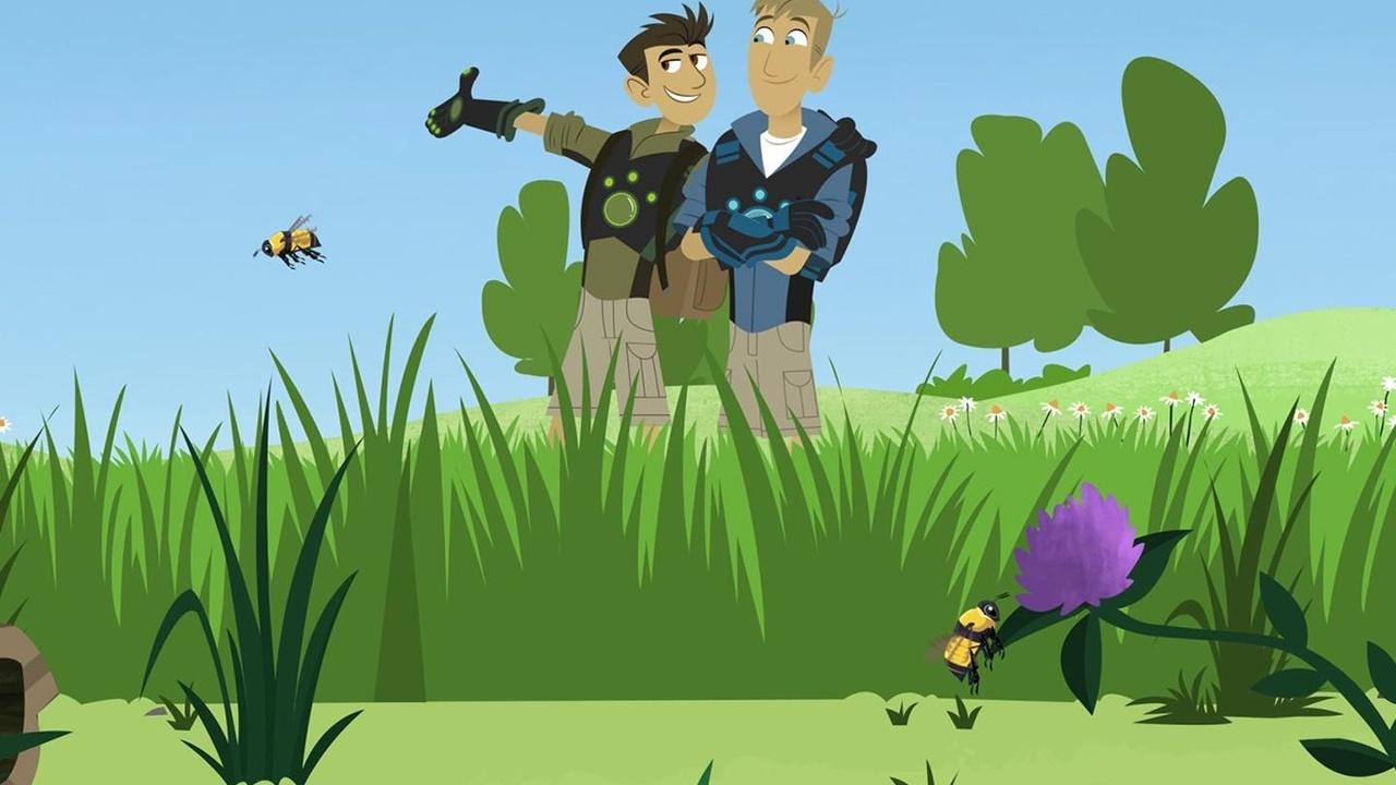 Wild Kratts Bumblezzzz Wild Kratts Bumblezzzz