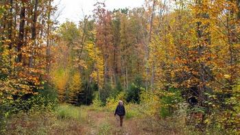 The Future of Nature
