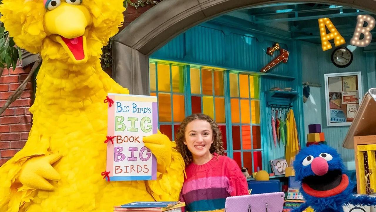 Sesame Street Mitzvah Day Mix-Up