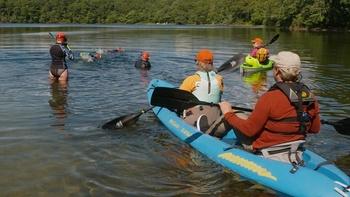 Weekends With Yankee