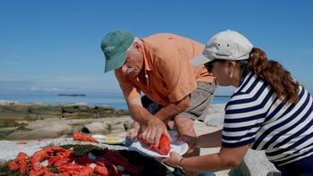 America the Bountiful