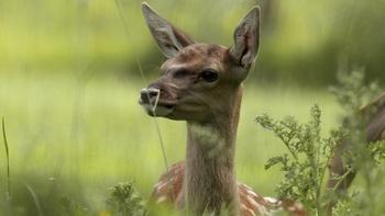 Kerry: Tides of Time