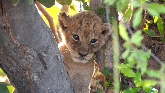 New Beginnings poster frame