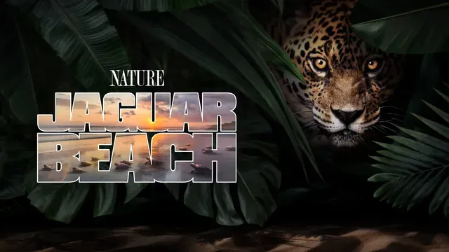 Jaguar Beach poster frame