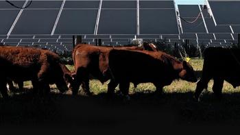 Save the Farm, Save the Future