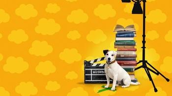 What's the Story, Wishbone?