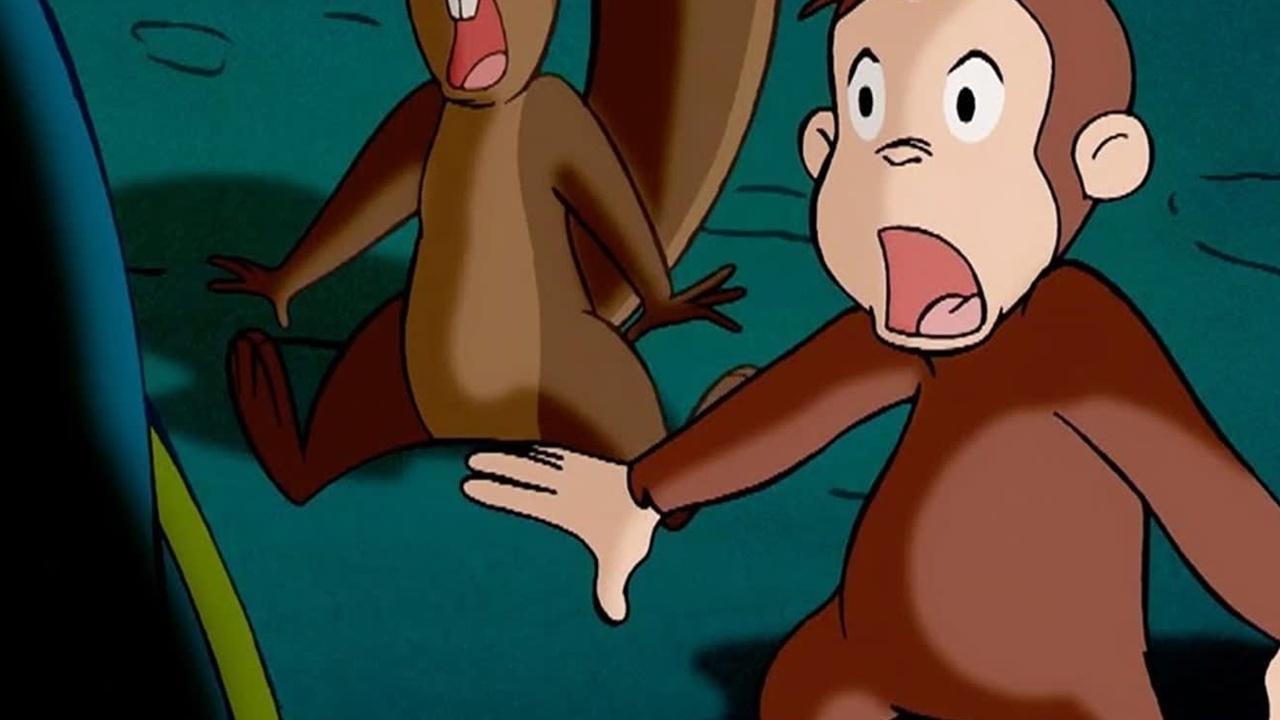 Curious George Water to Ducks; Animal Magnetism