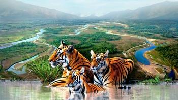 Nature