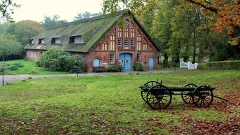 Homesteading