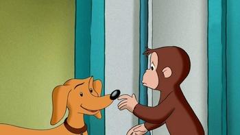 Curious George