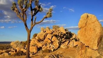 Southwestern Gems: Our Desert National Parks