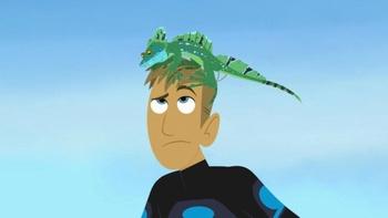 Wild Kratts