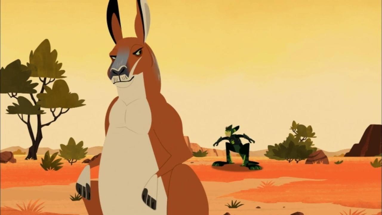 Wild Kratts Kickin' It With the Roos | On PBS Wisconsin